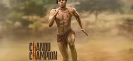 Chandu Champion (2024) Hindi HDTS H264 AAC 1080p 720p 480p Download