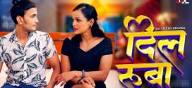 Dil Ruba 2024 Hindi Season 01 [ Episodes 03-05 Added] SolTalkies WEB Series 720p HDRip Download