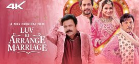 Luv Ki Arrange Marriage (2024) Hindi Zee5 WEB-DL H265 AAC 2160p 1080p 720p 480p ESub