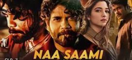 Naa Saami Ranga (2024) UNCUT Dual Audio [Hindi-Telugu] WEB-DL H264 AAC 1080p 720p 480p ESub