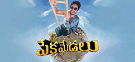 Pekamedalu (2024) Telugu CAMRip x264 AAC 1080p Download