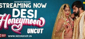 Desi Honeymoon 2024 Hindi NeonX Short Films 720p HDRip Download