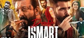 Double iSmart (2024) Hindi ORG JC 2160p 1080p 720p 480p ESub