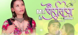 Mr. Chourasiya Part 2 (2024) S02 Hindi HitPrime Hot Web Series 1080p Watch Online