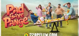 Pad Gaye Pange (2024) Hindi CAMRip x264 AAC 1080p 720p Download