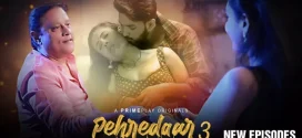 Pehredaar (2023) S03 Hindi PrimePlay WEB-DL H264 AAC 1080p 720p 480p Download