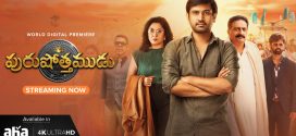 Purushothamudu (2024) Telugu WEB-DL H264 AAC 1080p 720p 480p ESub