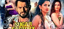 Sugar Factory 2024 Hindi Dubbed Movie ORG 720p WEBRip 1Click Download