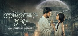 Dekhechhi Tomake Shrabone (2024) S01 Bengali AT 1080p 720p 480p ESub