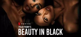 Beauty in Black (2024) S01 Dual Audio [Hindi-English] NetFlix 1080p 720p 480p ESub