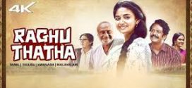 Raghu Thatha (2024) Hindi CAMRip x264 AAC 1080p 720p Download