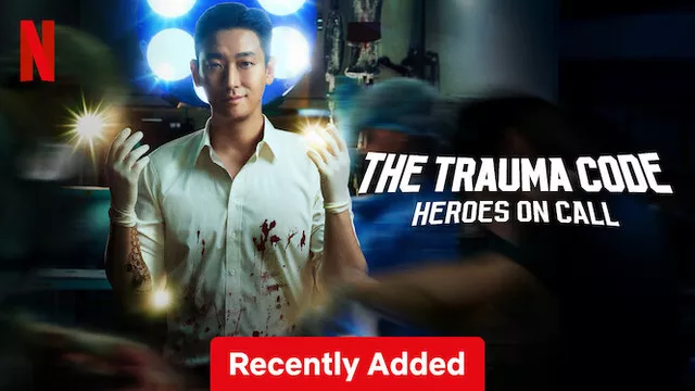 The Trauma Code Heroes on Call (2025) S01 Dual Audio [Hindi-Korean] NetFlix WEB-DL H264 AAC 1080p 720p 480p ESub