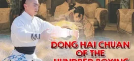 Dong Hai Chuan of the Hundred Boxing (2018) Dual Audio [Hindi-Chinese] WEB-DL 1080p 720p 480p ESub