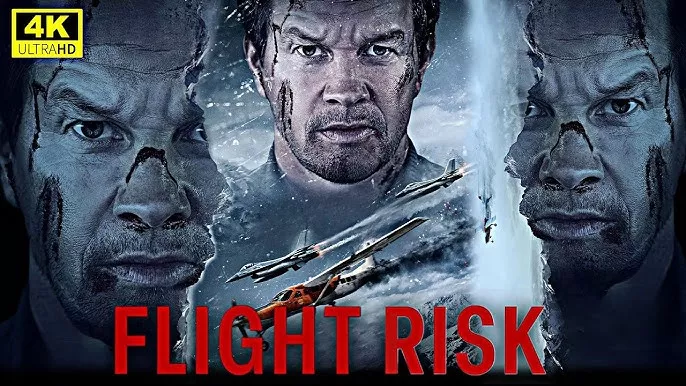 Flight Risk (2025) English WEB-DL H264 AAC 1080p 720p 480p ESub