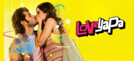 Loveyapa (2025) Hindi WEB-DL H264 AAC 1080p 720p 480p Download