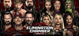 WWE Elimination Chamber (2025) English NetFlix WEB-DL H264 AAC 1080p 720p 480p Download